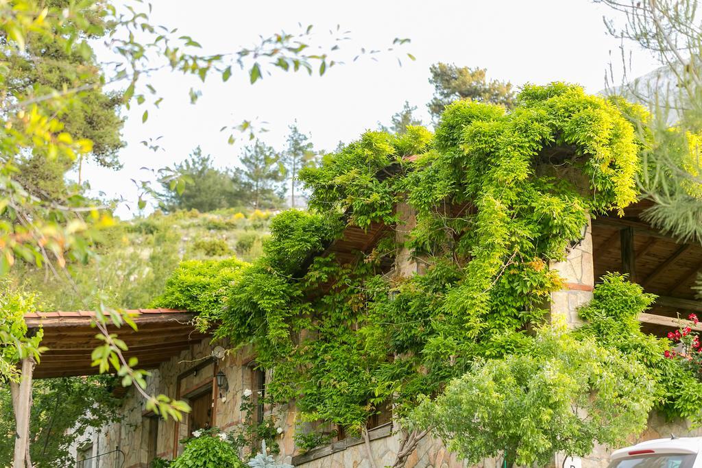 Olympos Mountain Lodge Beycik Εξωτερικό φωτογραφία